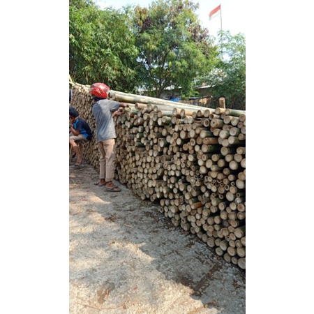 BAMBU STEGER 8-9,P6meter