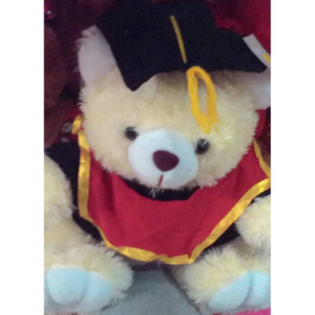 Boneka wisuda beruang