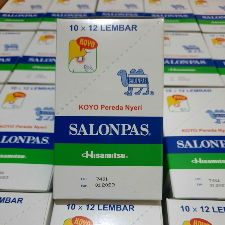 Grosir Koyo SALONPAS