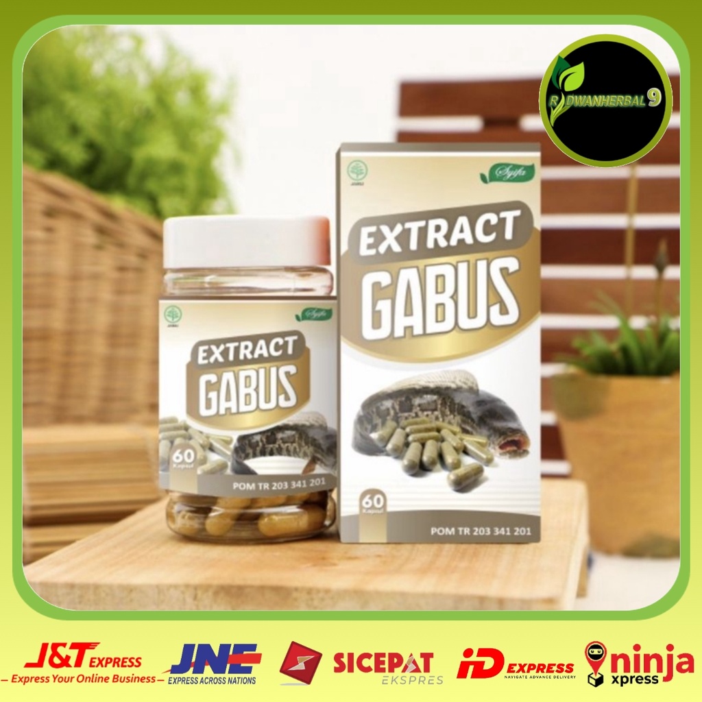 KAPSUL EXTRACT GABUS ISI 60 KAPSUL