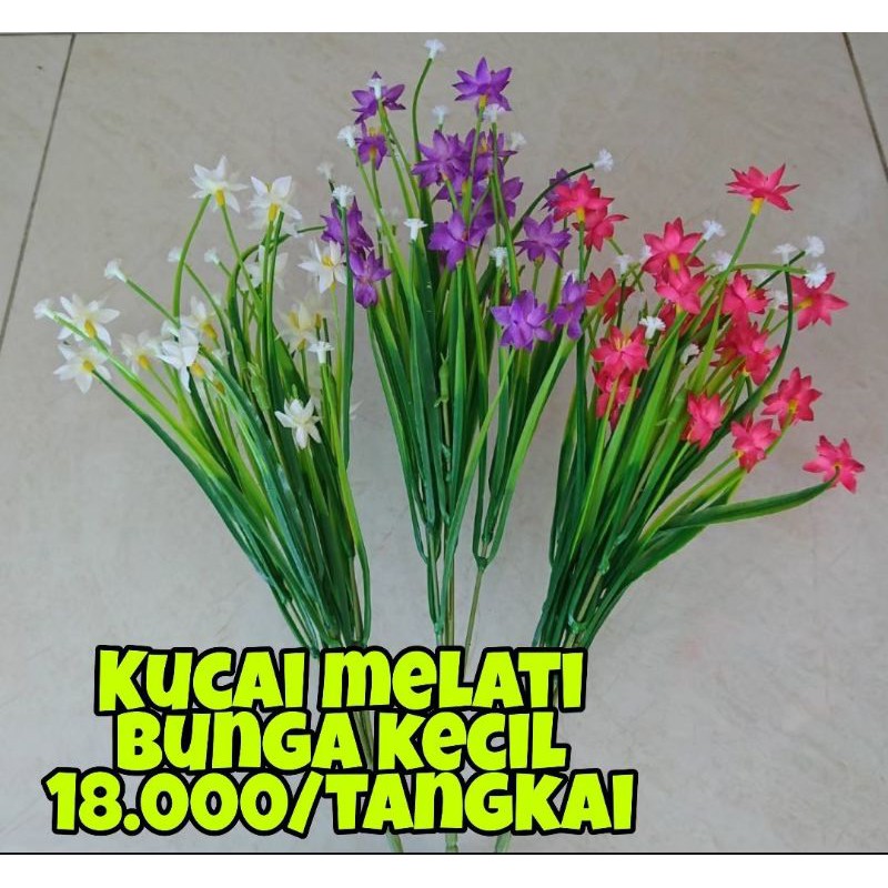 KUCAI MELATI BUNGA KECIL