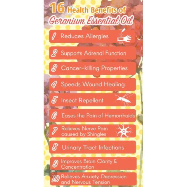 Geranium essential oil 5ml premium