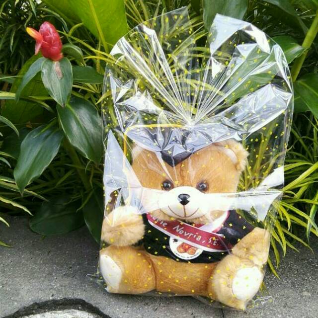 ⭐BISA COD⭐ Boneka Wisuda Medium | Free Plastik Kemasan