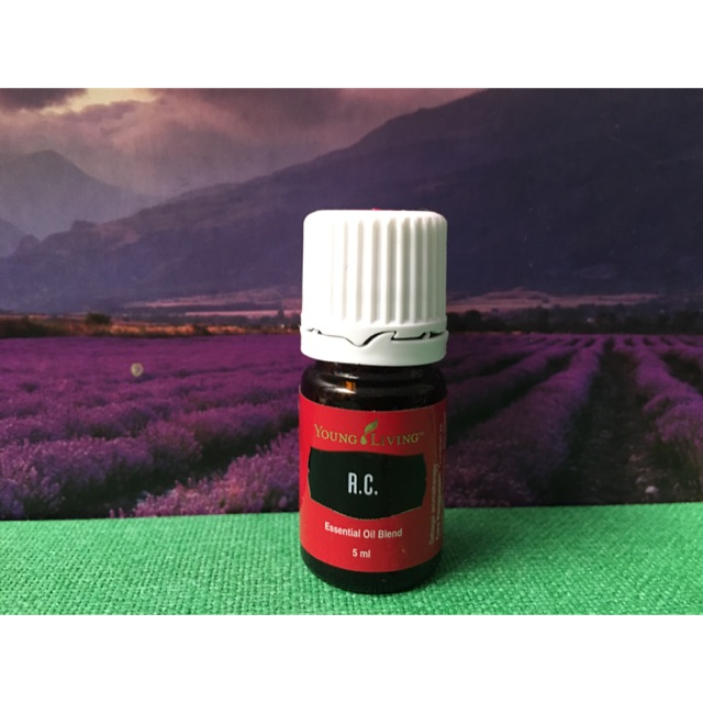 RC 5ml Essential oil murah!!