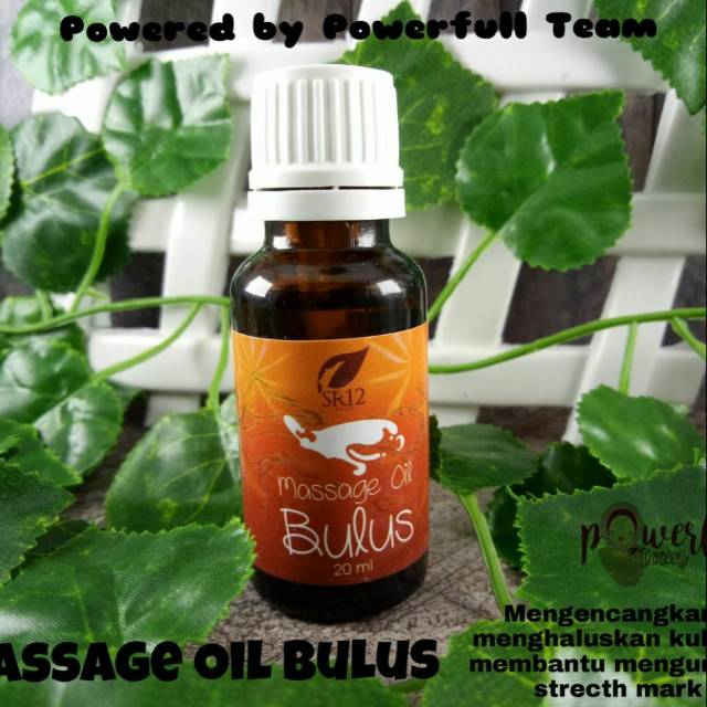 Minyak bulus
