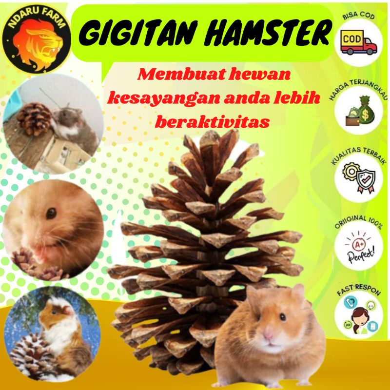 Mainan Gigitan Hamster PINE CONE NDARUFRAM