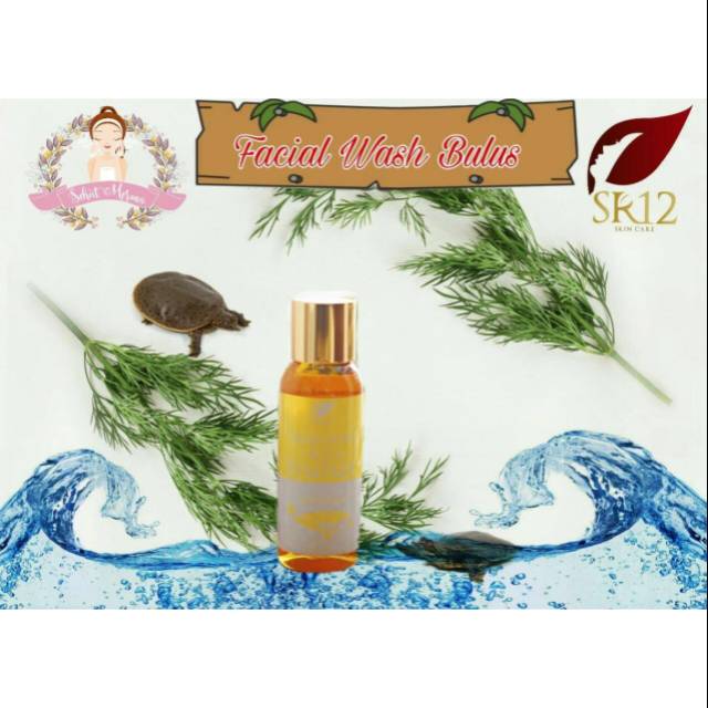 Facial wash bulus