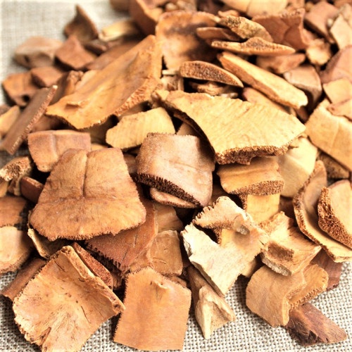 [300gram]  Gui Ban / Turtle Shell - Plastrum Testudinis