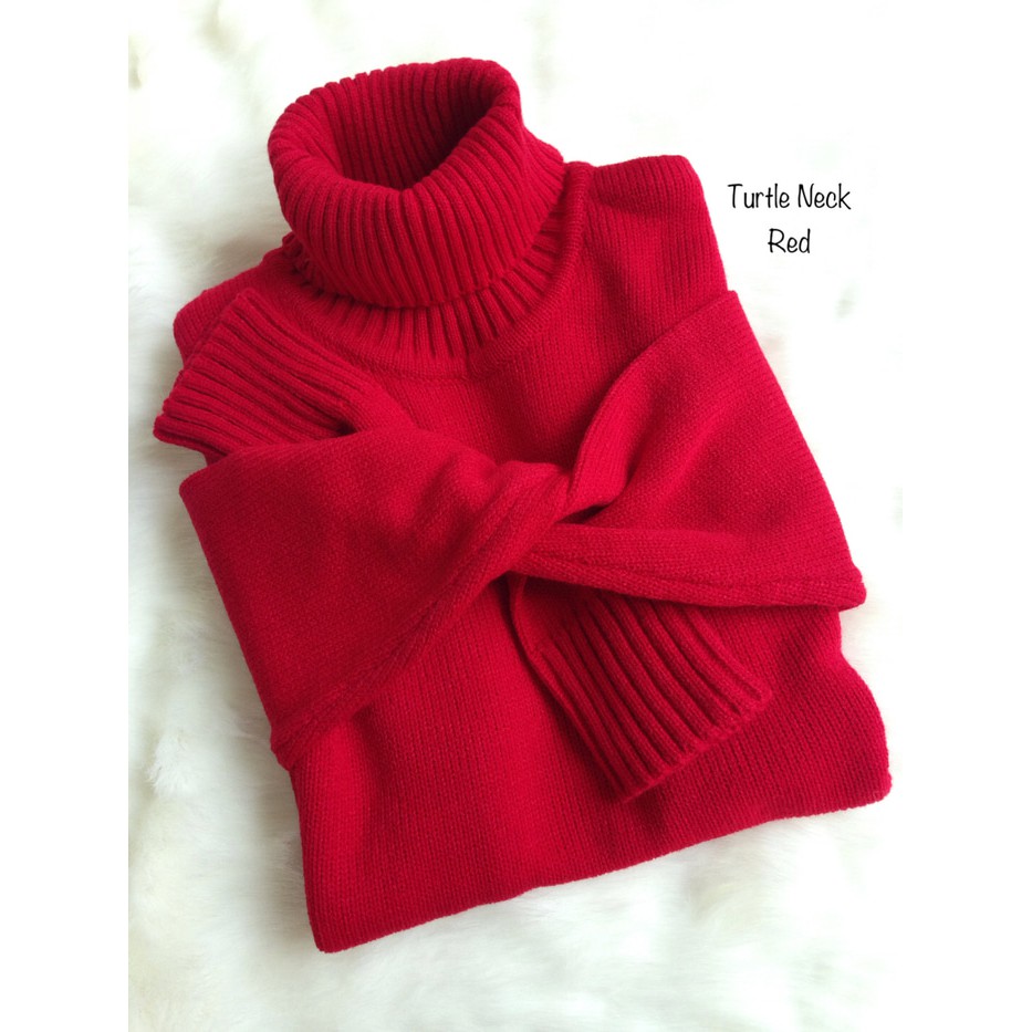 Sweater Turtle Neck