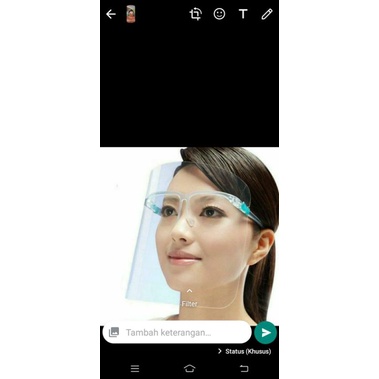 face shield