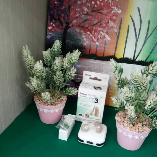Hearing Aid non kabel