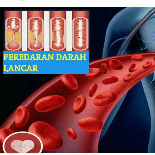 pejumbatan