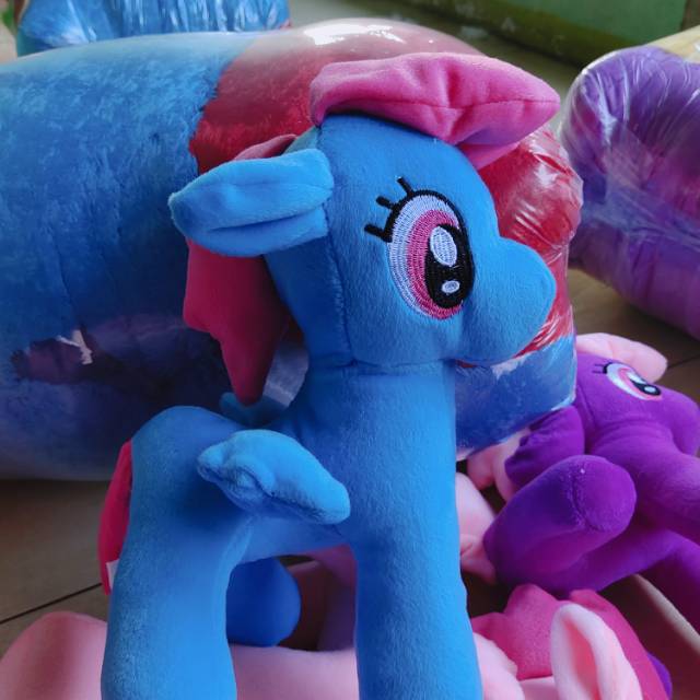 Kuda poni