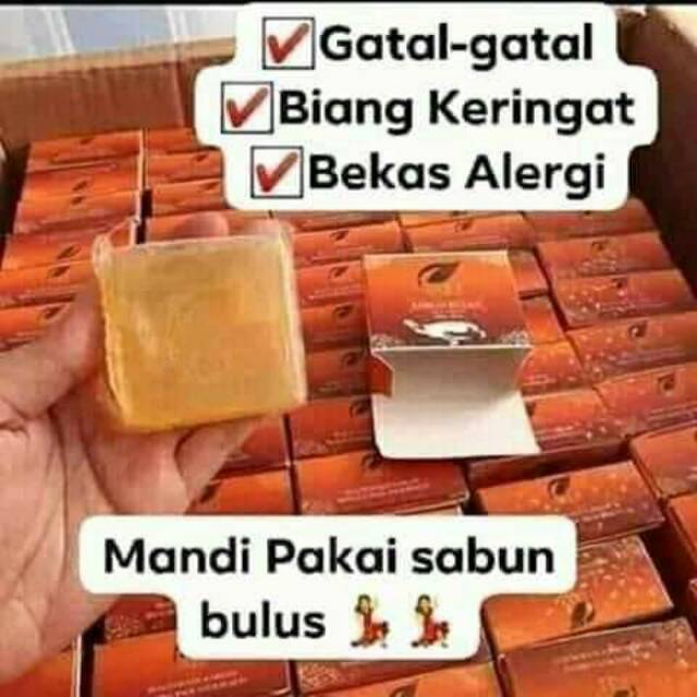 SR 12 sabun bulus