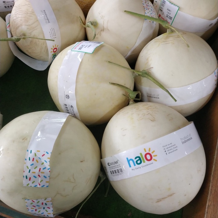 Melon Daisy Hydroponic 1.6 Kg