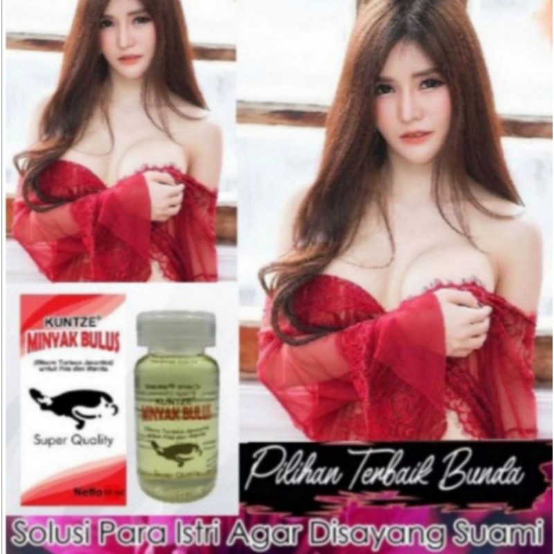 MINYAK BULUS BPOM ORIGINAL