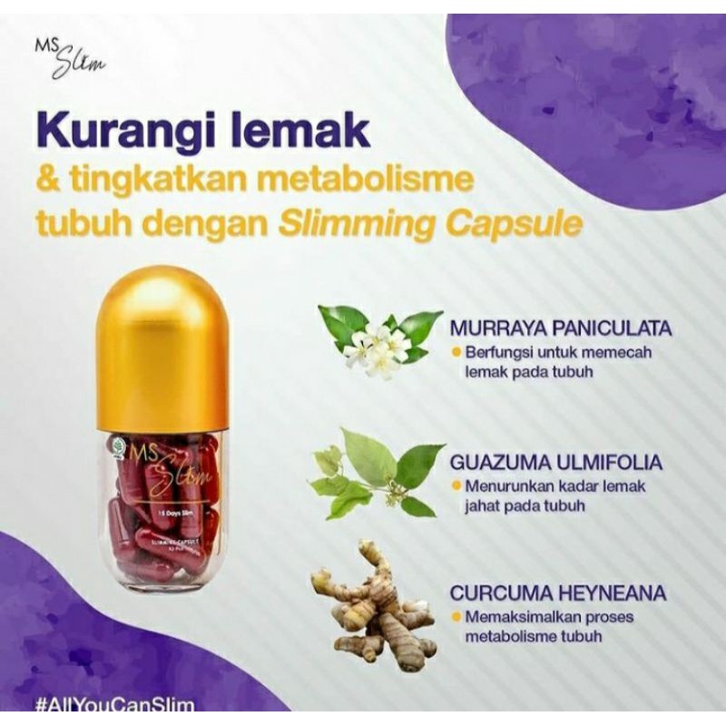 msSlim capsule isi 30 capsule