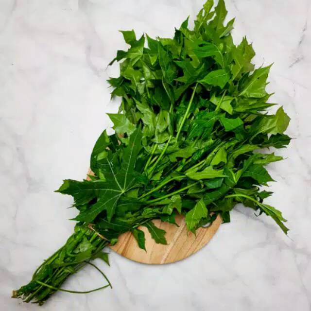 Daun pepaya