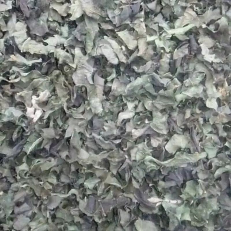 DAUN AFRIKA KERING 250 GRAM