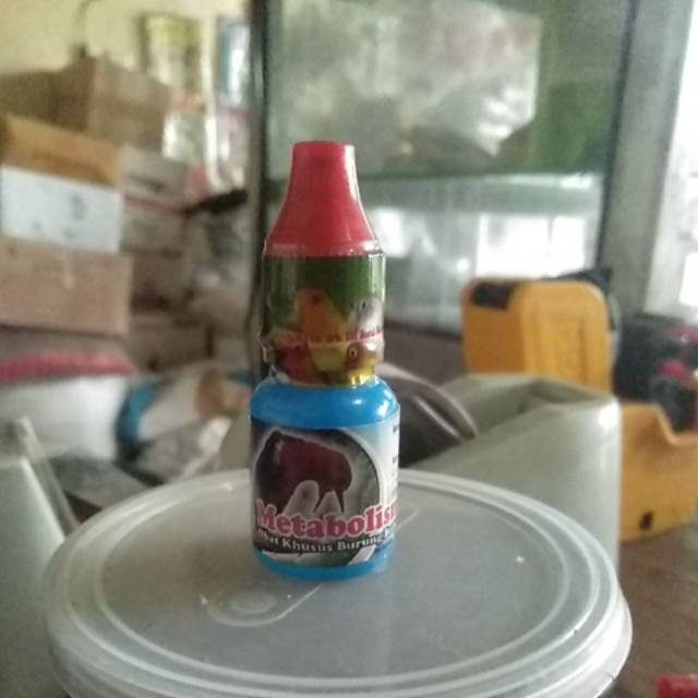 Metabolis dr. edi
