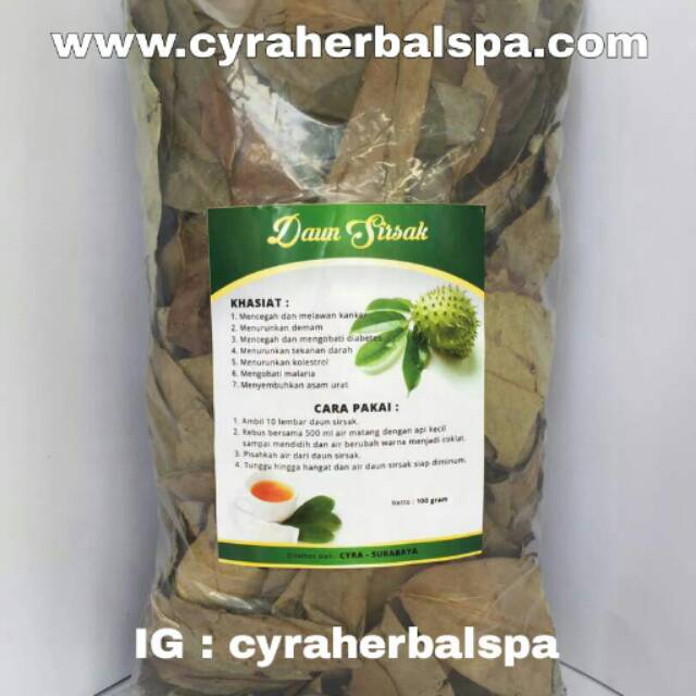 Daun Sirsak Kering