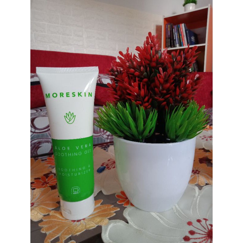Aloe Vera Kecil (100ml)