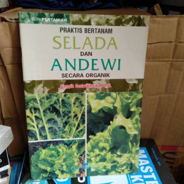buku seladi dan andewi