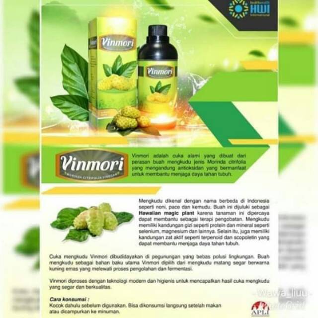Vinmori hwi original