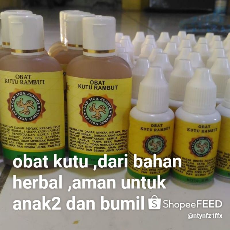 obat kutu