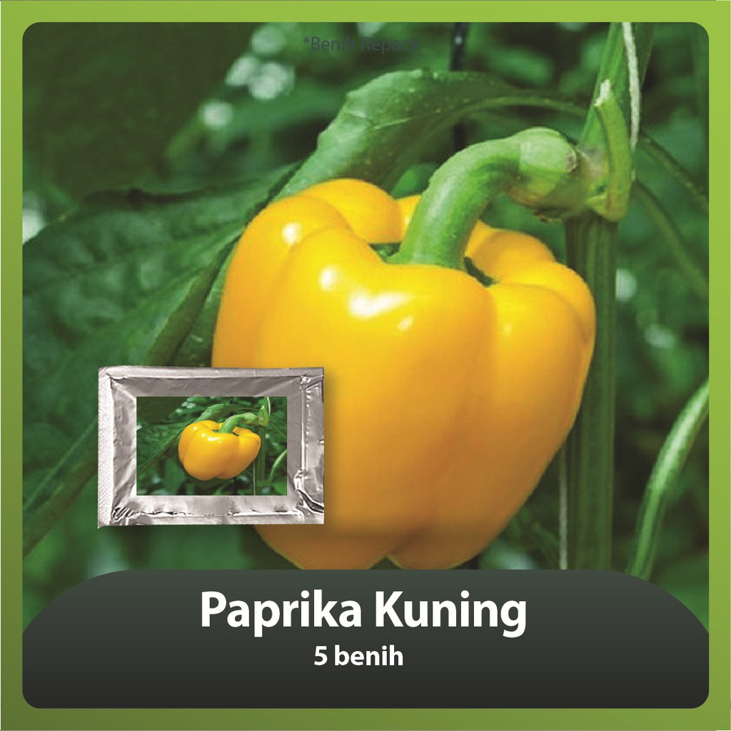 Benih Bibit Paprika Kuning - 5 benih