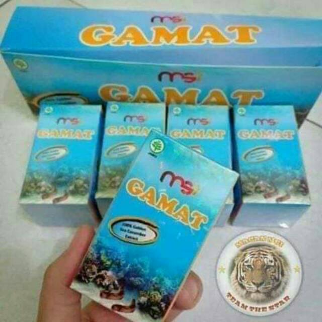 GAMAT MSI/SUPLEMEN DIABETES MURAH