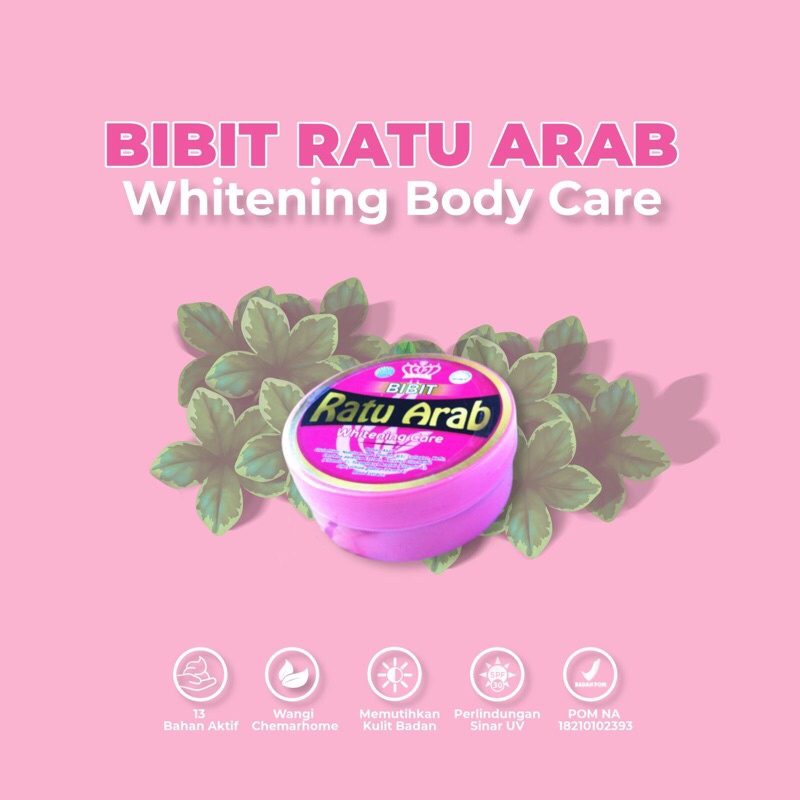 Bibit ratu arab 100% ORIGINAL