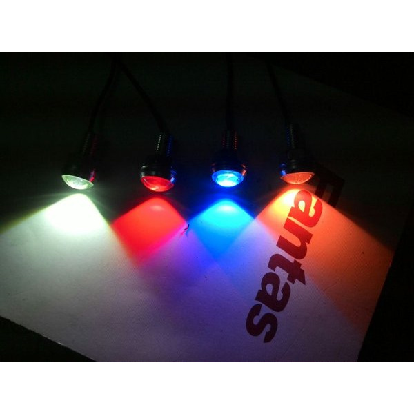 Spesial led mata elang