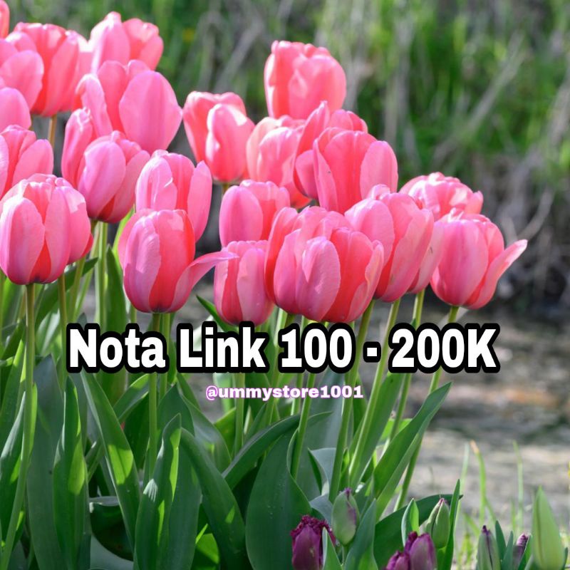 Nota Link 100 - 200K