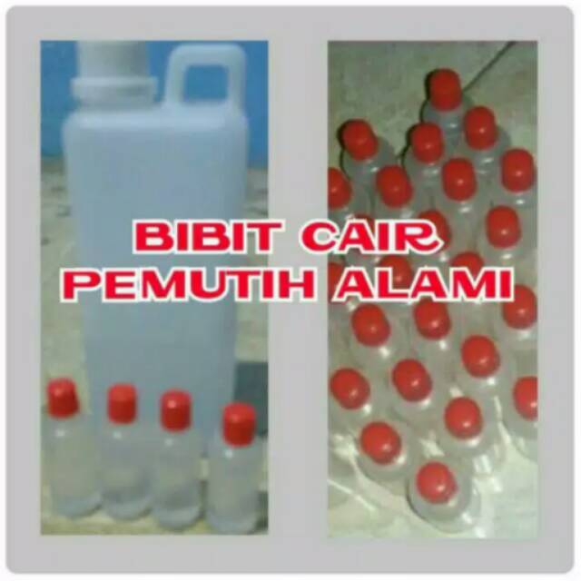 Bibit pemutih cair original