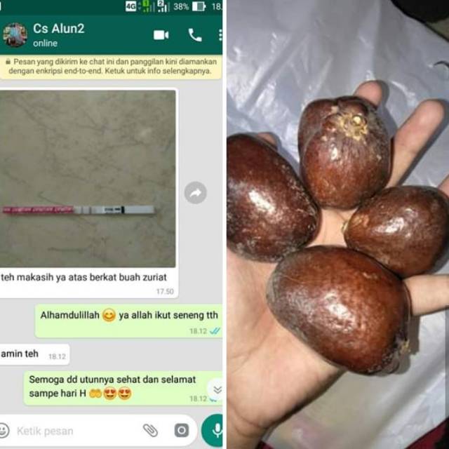 Zuriat Utuh/Belah Untuk Program Kehamilan