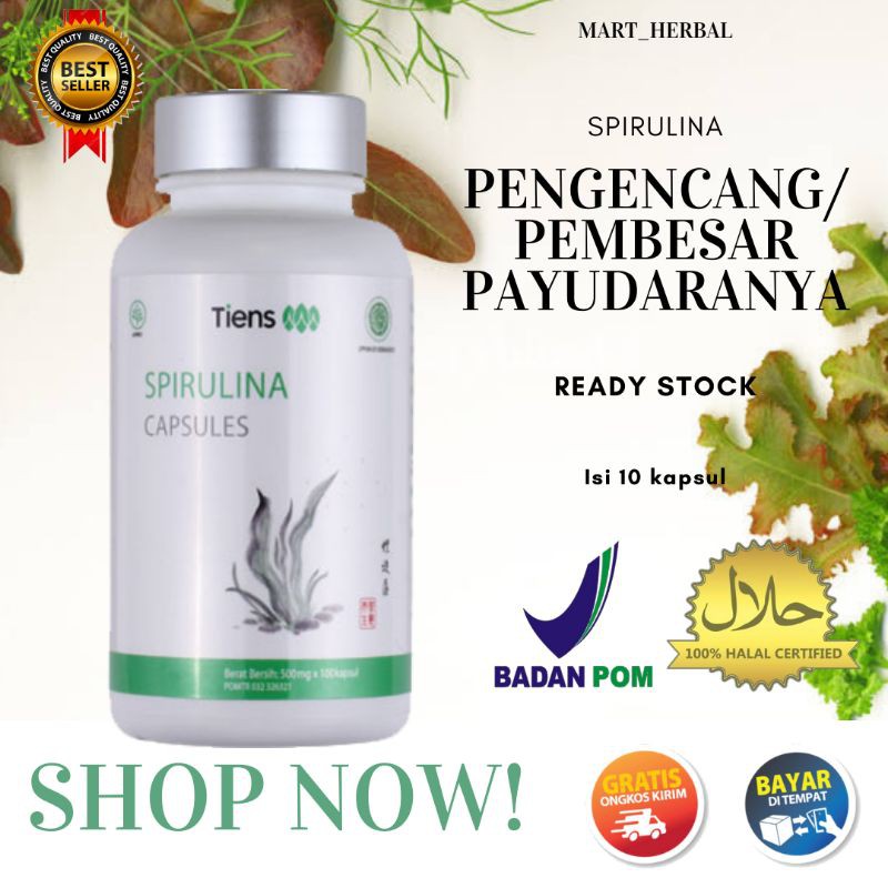 [COD] PENGENCANG PAYUDARA || Isi 10 kapsul