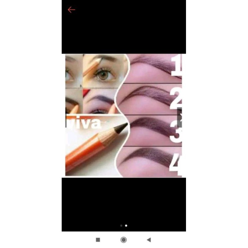 pviva