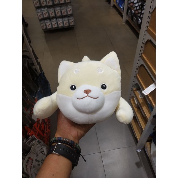 miniso boneka lying shiba