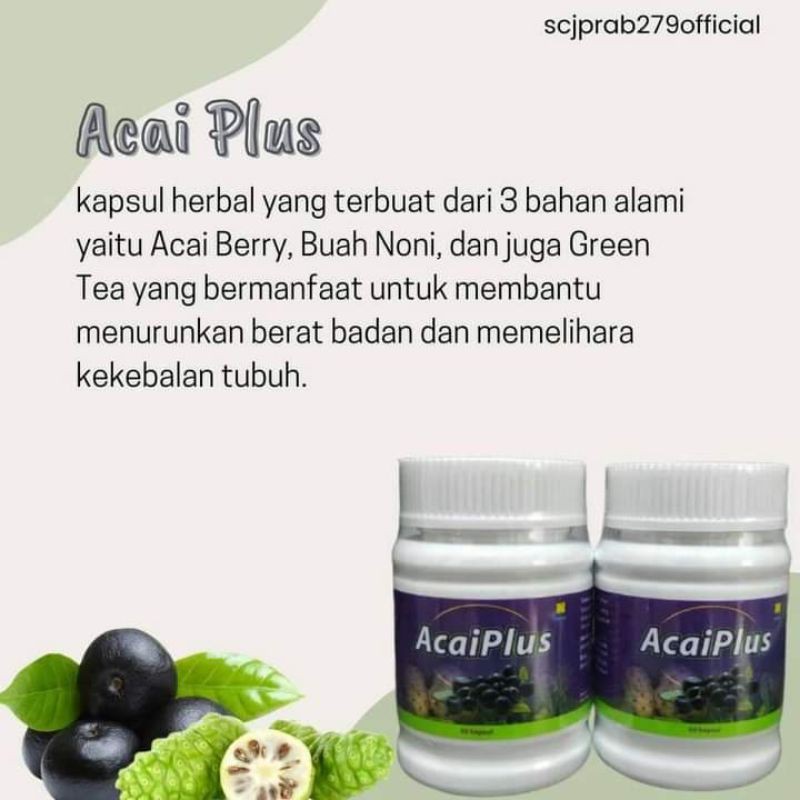 acaiplus pelangsing herbal