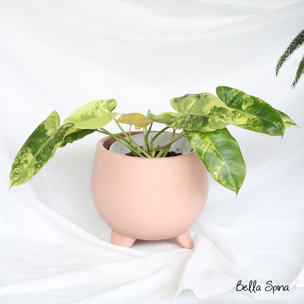 Pot Skily Oval 15cm Monocolor