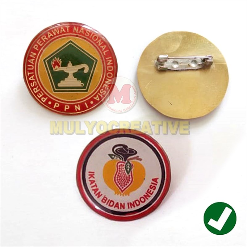 PIN IBI dan PIN PPNI