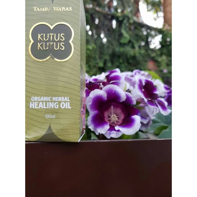 Minyak Kutus-Kutus