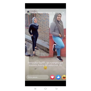 pelangsing pelakor
