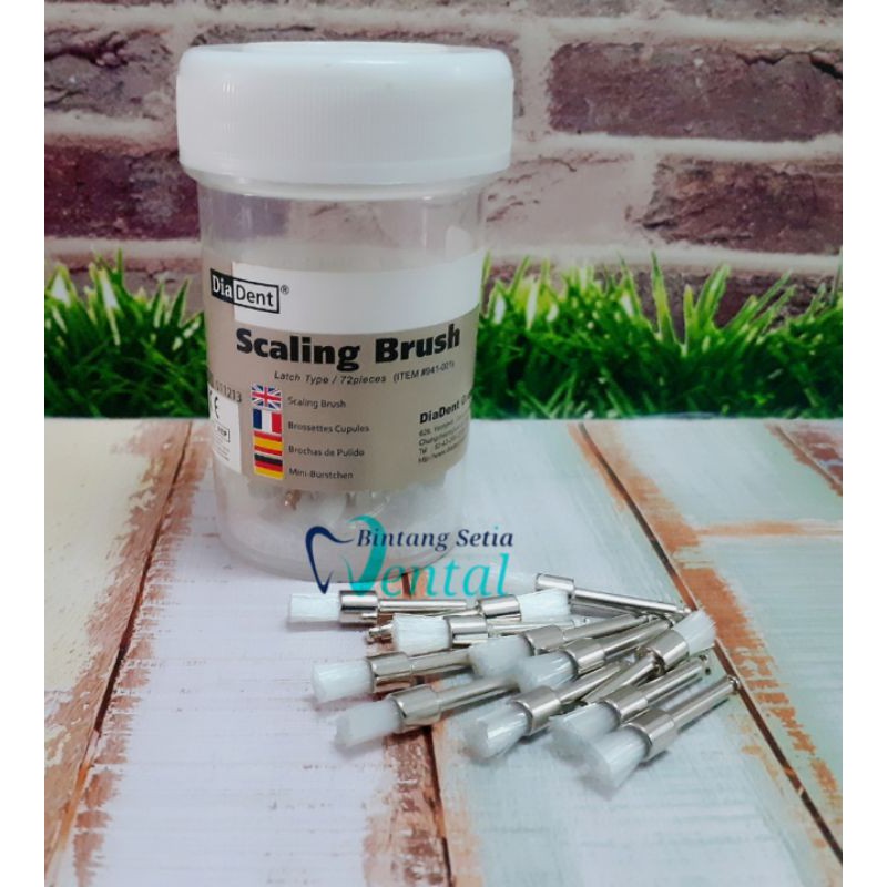 BRUSH SCALING DIADENT