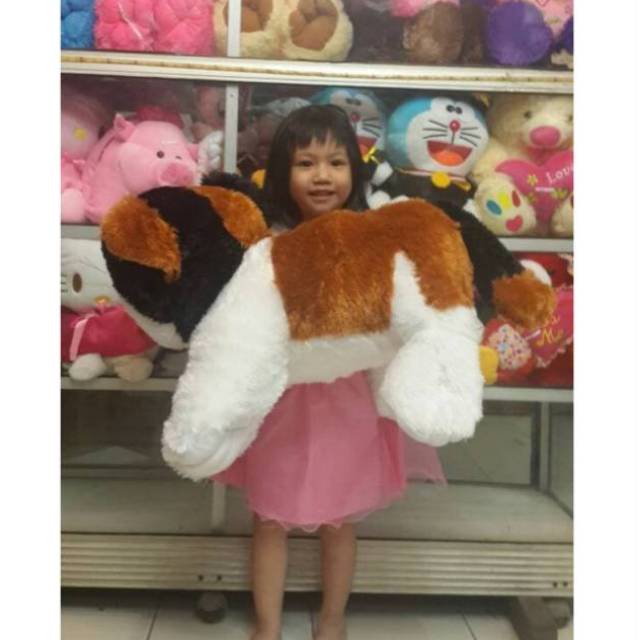 Boneka kucing cat jumbo