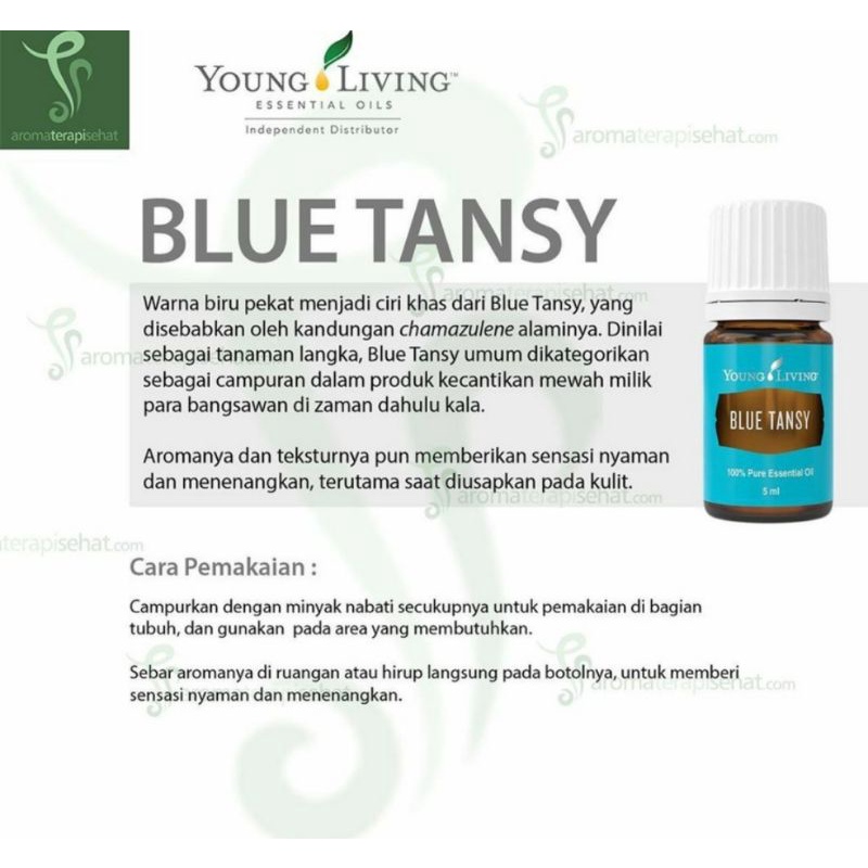 Blue Tansy  #youngliving