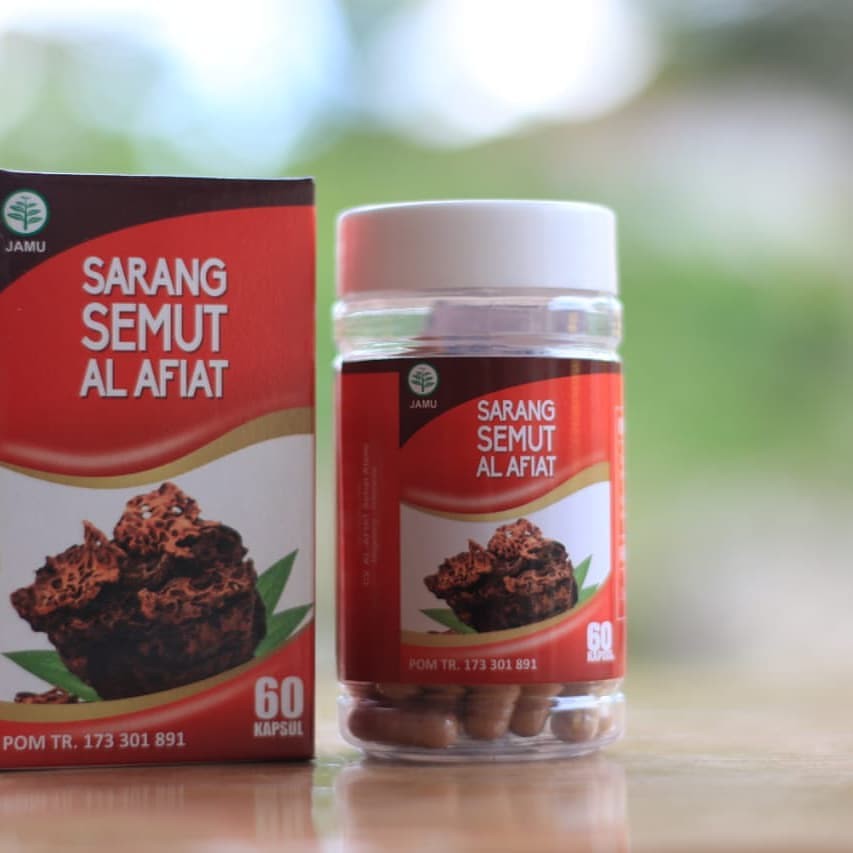 Kapsul Sarang Semut Isi 60 Kapsul