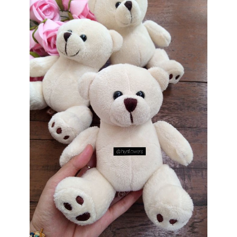Teddy cream only 16cm