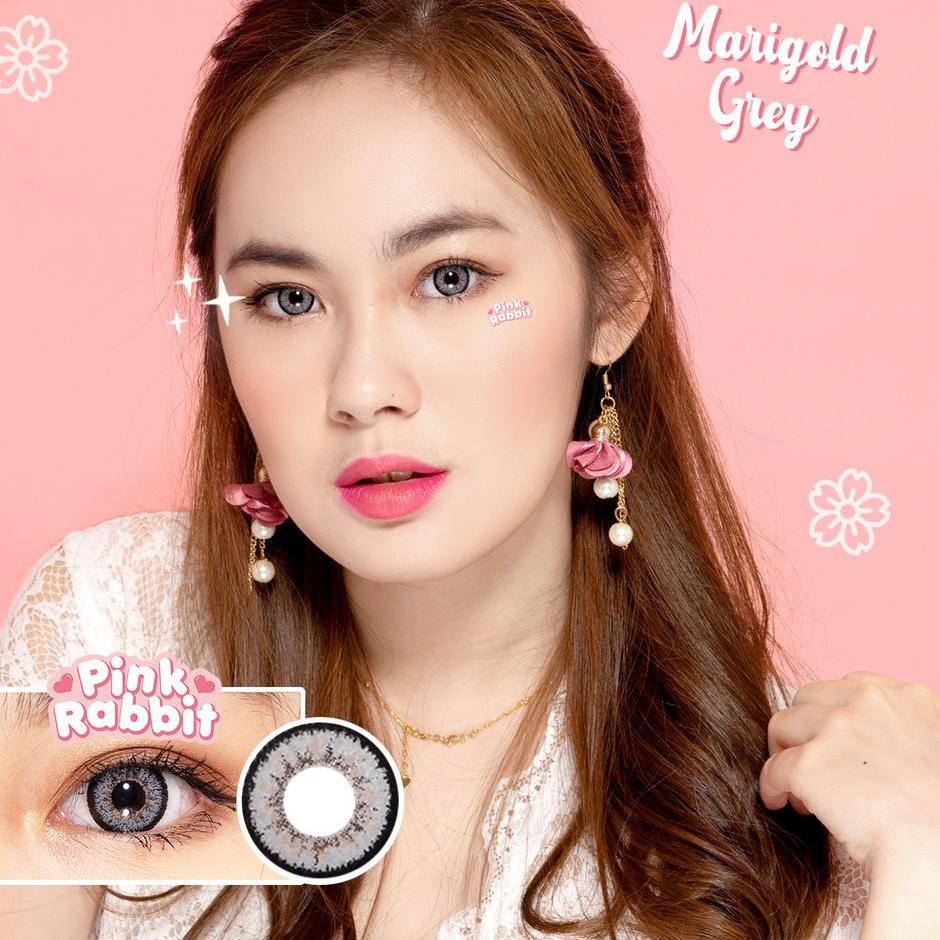 [🆗diskon✔️] Pink Rabbit Marigold Grey Softlens